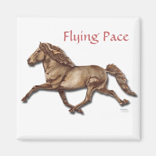 Bronze isländisch magnet (Vorne)