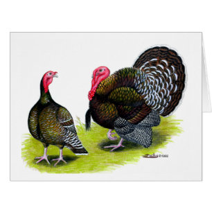 Bronze large de Turquie