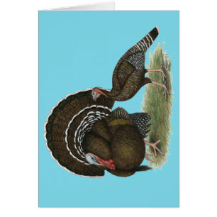 Bronze standard de Turkey