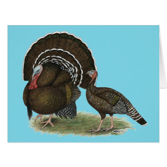 Bronze standard de Turkey (Devant horizontal)