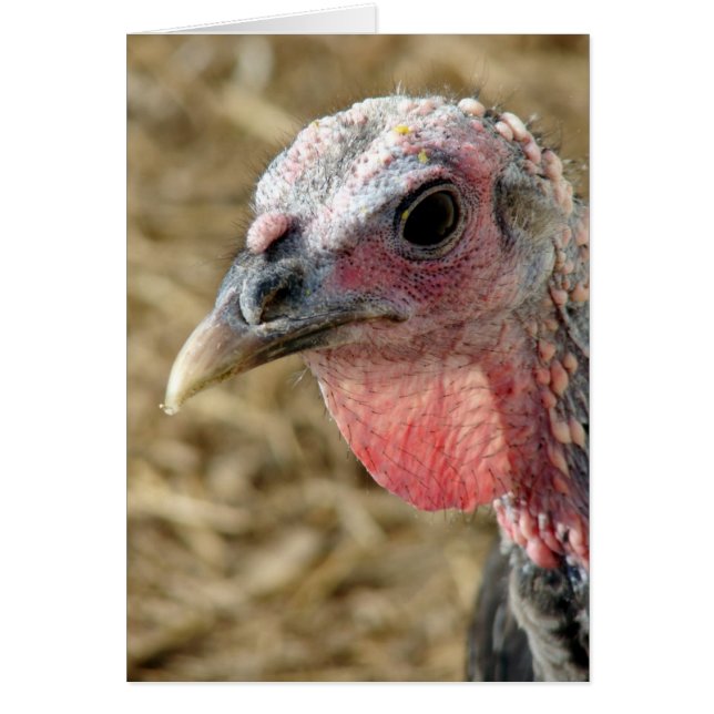 Bronze Turquie (Devant)