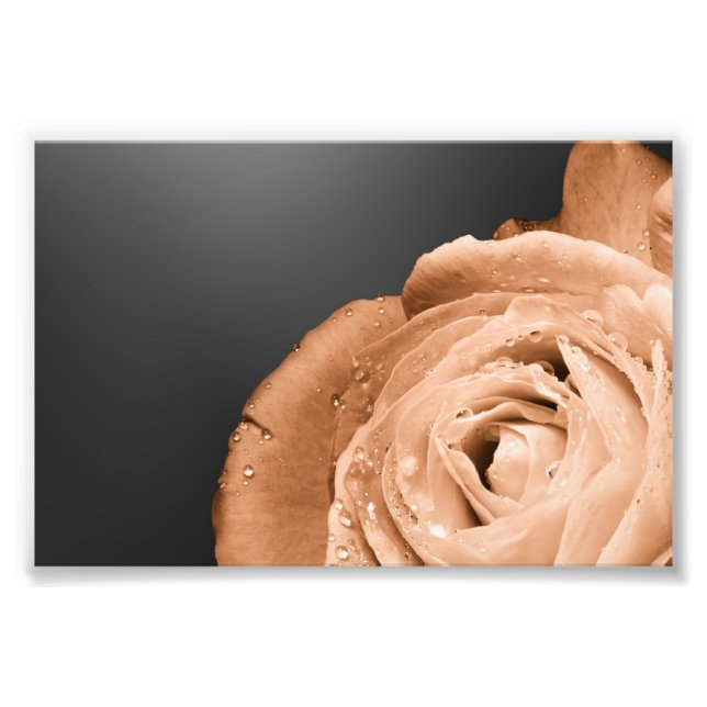 Bronzerose Fotodruck (Vorne)