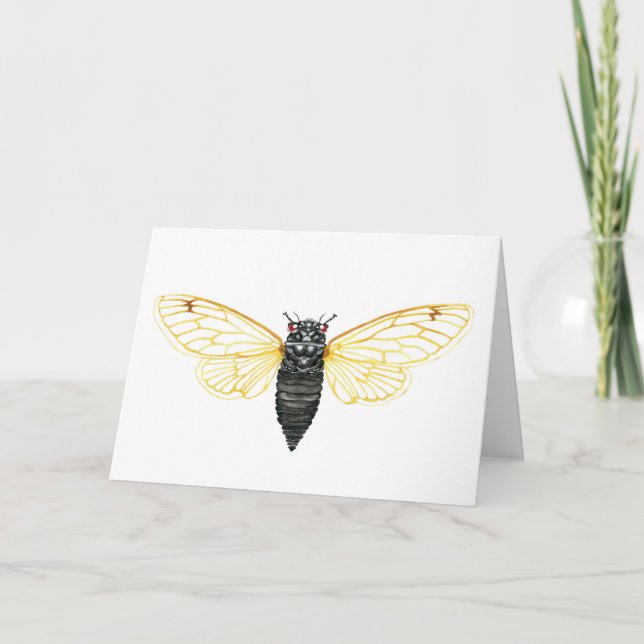Brood X 17 Jahre Periodische Cicada Karte (Vorderseite)