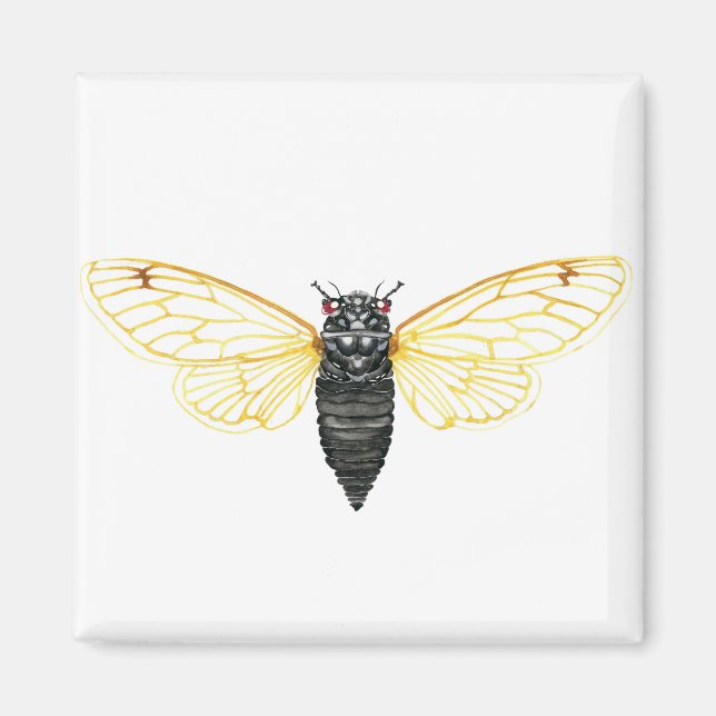Brood X 17 Jahre Periodische Cicada Magnet (Vorne)