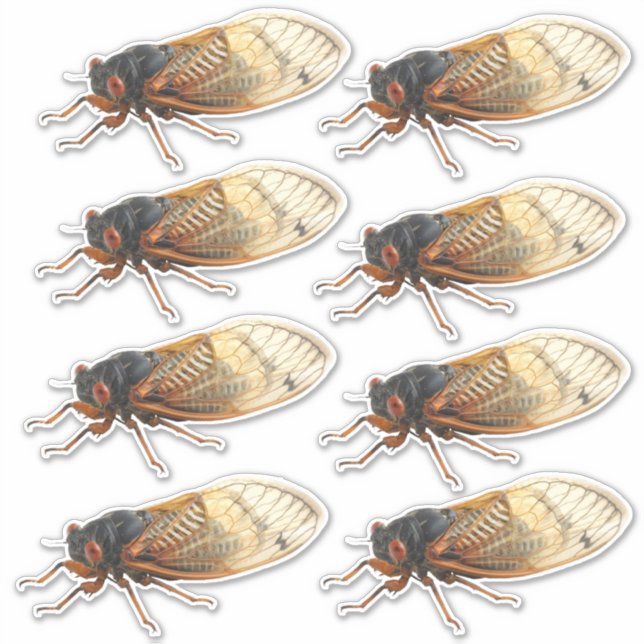 Brood X Periodical Cicada Stickers: 8 pro Blatt Aufkleber (Vorderseite)