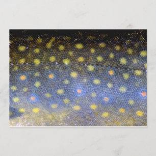 Brook Forellen Fischskalen Party Einladung