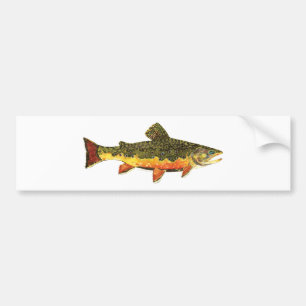 Brook Trout Fischmalerei Autoaufkleber