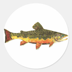 Brook Trout Fischmalerei Runder Aufkleber