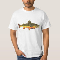 Brook Trout Fischmalerei