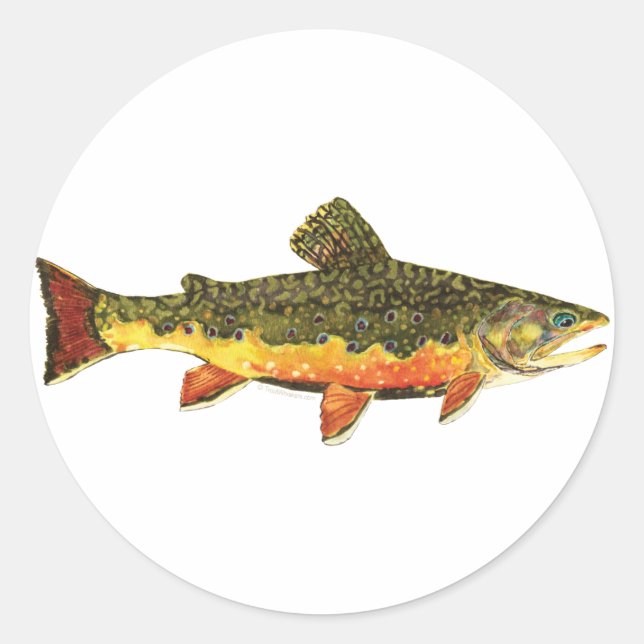 Brook Trout Fish Painting Runder Aufkleber (Vorderseite)
