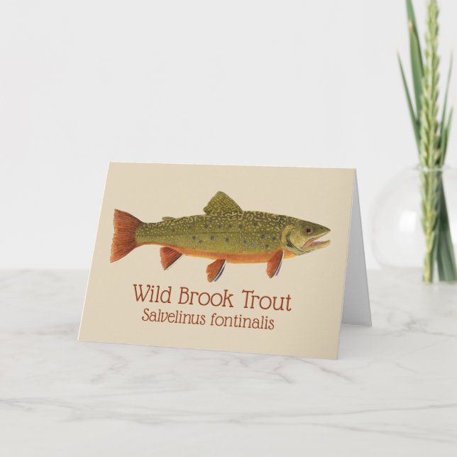 Brook Trout Greetings Card Karte (Vorderseite)