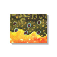 Brook Trout