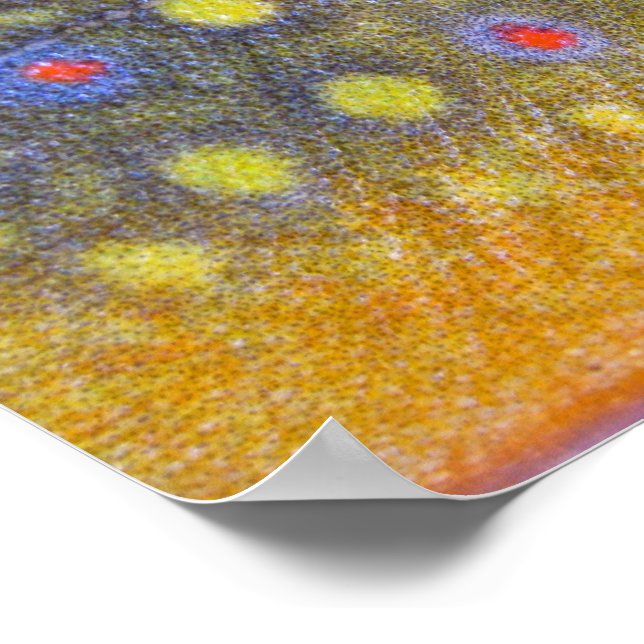 Brook Trout Poster (Ecke)