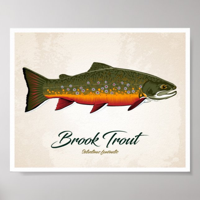 Brook Trout Poster (Vorne)