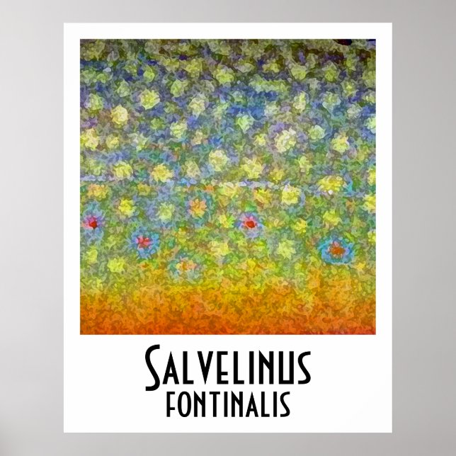 Brook Trout Poster (Vorne)