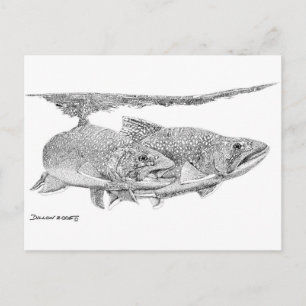 Brook Trout Postkarte