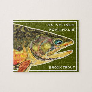 Brook Trout Salvelinus Fontinalis Ichthyology Fish