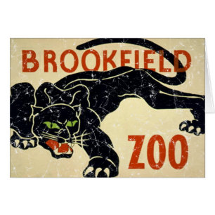 Brookfield Zoo-Panther-abgenutzt