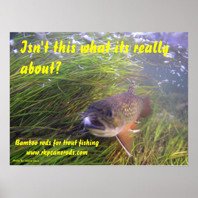 Brookie Poster (Vorne)