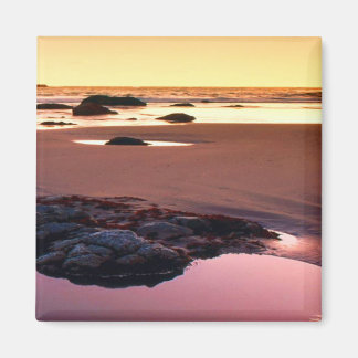 Brookings Harbour Sunset Fine Foto Magnet