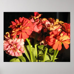 Brooklyn-Blumenstrauß Poster