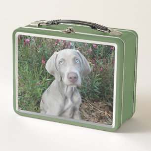 Brooklyn, der Weimaraner Hund Metall Brotdose