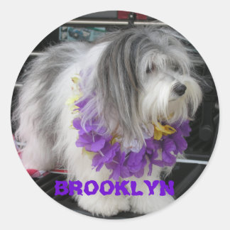 BROOKLYN LILA HAWAII STICKER