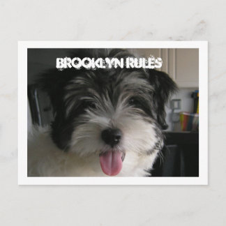 BROOKLYN REGLES POSTCARD POSTKARTE