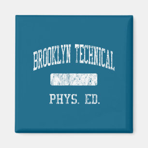 Brooklyn Technical High School HS Brooklyn NY Phys Magnet