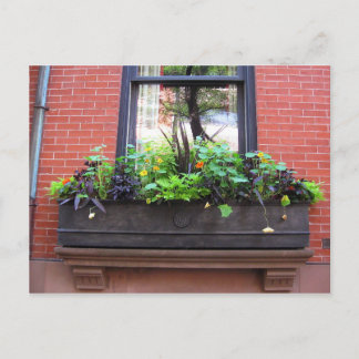 Brooklyn Window Postkarte