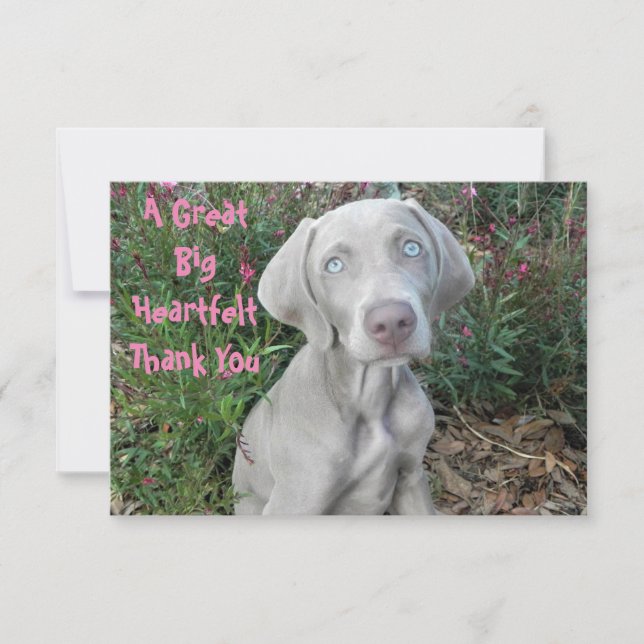 Brooklyn's Birthday Garden Party - Weimaraner Hund Dankeskarte (Vorderseite)