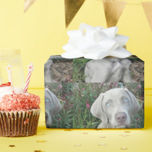 Brooklyn's Garden Party - Weimaraner Hund Geschenkpapier