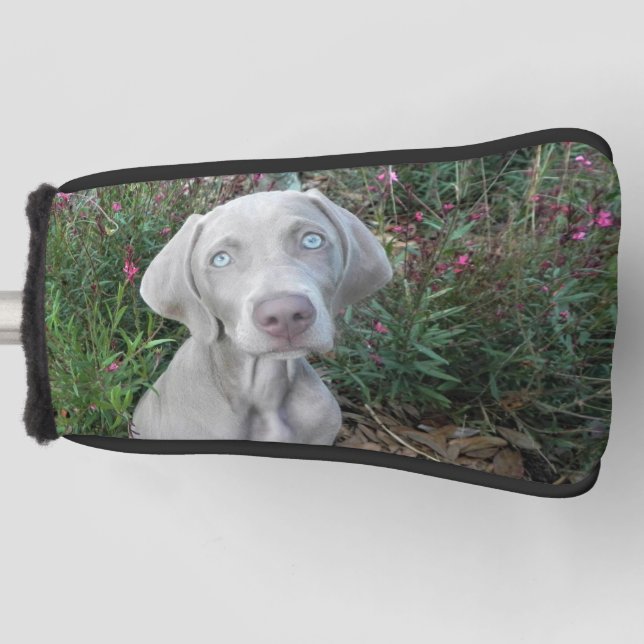Brooklyn's Weimaraner Dog Golf Putter Head Cover Headcover (Vorderseite)