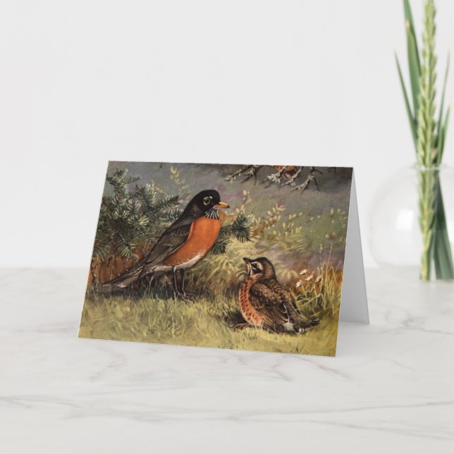 Brooks' Robins Karte (Vorderseite)