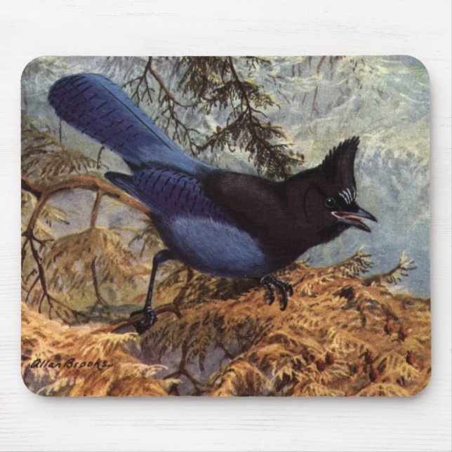 Brooks' Steller's Jay Mousepad (Vorne)