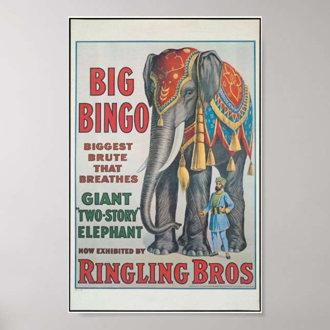 Bros Big Bingo l'éléphant Poster du Cirque (Devant)