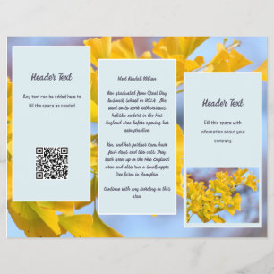 Broschüre mit gegliederten Gingko-Geschäftslogos