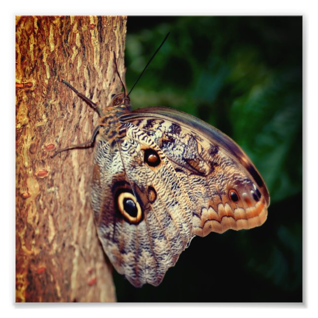 Broschüre Nah 8x8 Fotodruck (Vorne)
