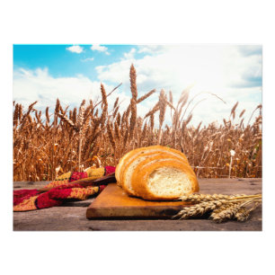 Brot im Weizenfeld Fotodruck