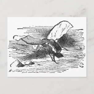 Brot-und-Butter-Fliege Postkarte