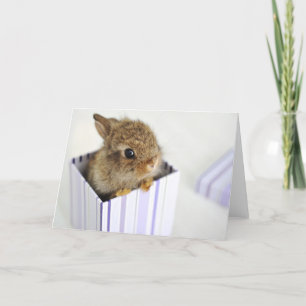 Brötchen im Kasten! Karte