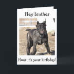 BROTHER-ITALIENISCHE KANE CORSO-"GLÜCKLICHER BIRTH KARTE<br><div class="desc">DIESER ITALIENISCHE KANE IST SO BEREIT ZU SAGEN: "GLÜCKLICH BIRTHTAG ZU IHREM BROTHER!"</div>