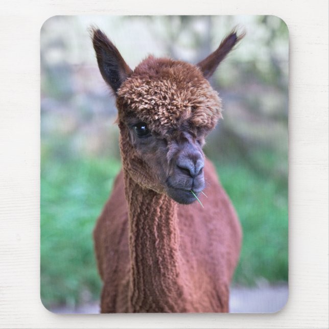 Brown Alpaca Mousemat Mousepad (Vorne)