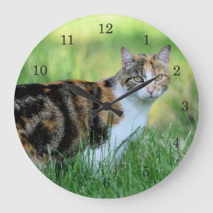 Brown and white cat große wanduhr
