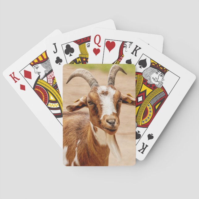 Brown and White Goat Spielkarten (Rückseite)