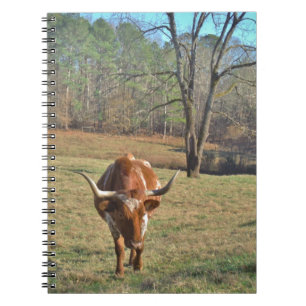 Brown and White Longhorn Bull Blue Sky Notizblock