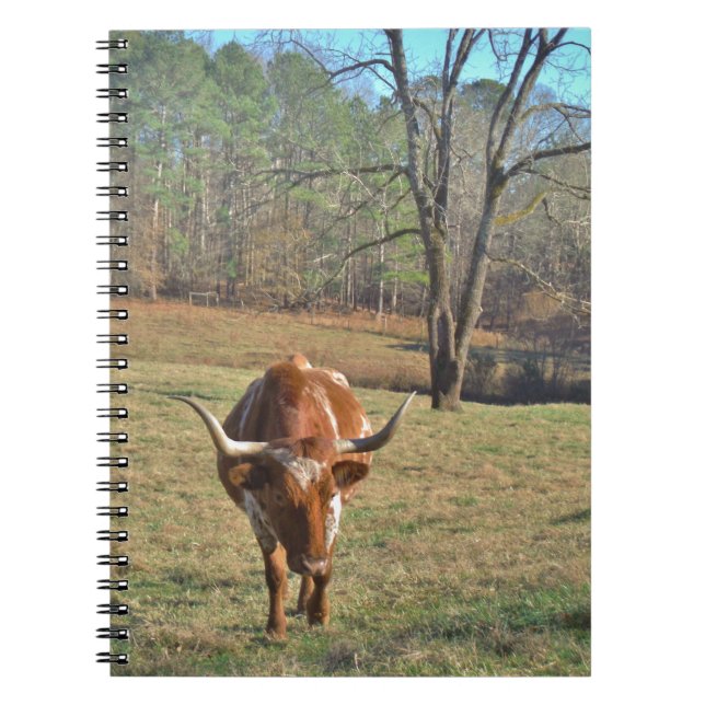 Brown and White Longhorn Bull Blue Sky Notizblock (Vorderseite)