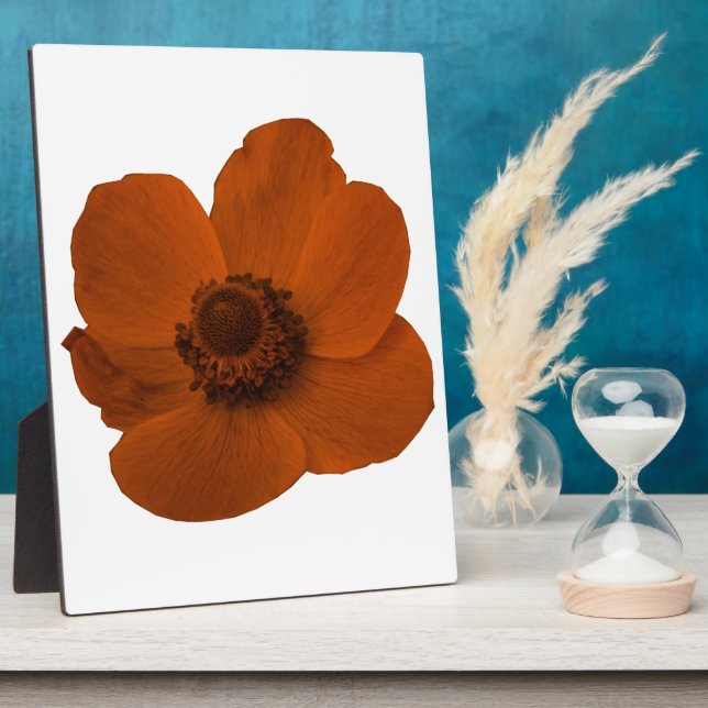 Brown Anemone Plaque Fotoplatte (Seite)