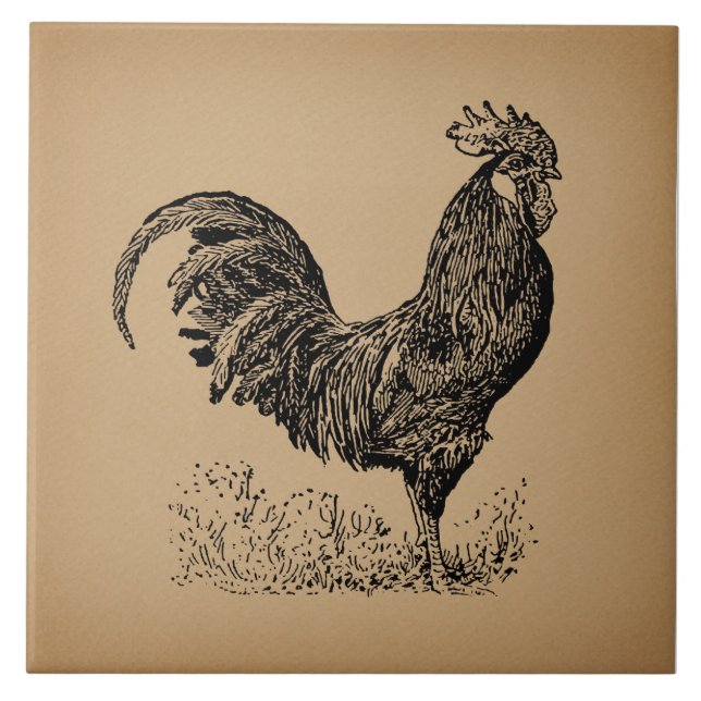 Brown Antique Rooster Illustration Hühnerparadies Fliese (Vorderseite)