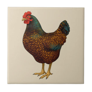 Brown Barnevelt Hen Hühnchen Fliese